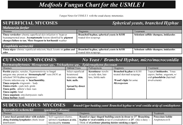 Chart Note Using History And Physical Style